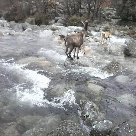 Casa di campagna Chorreras Navalguijo
