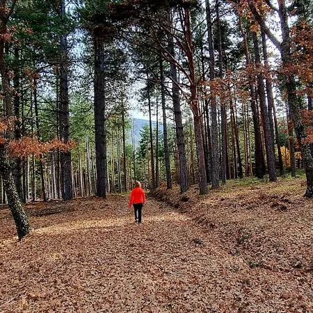 Casa di campagna Chorreras *