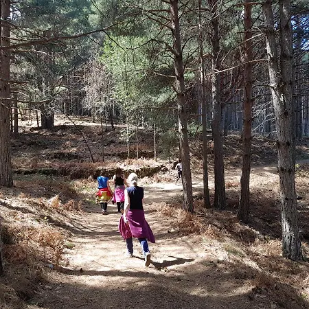 Летний дом Casa Rural Las Chorreras *